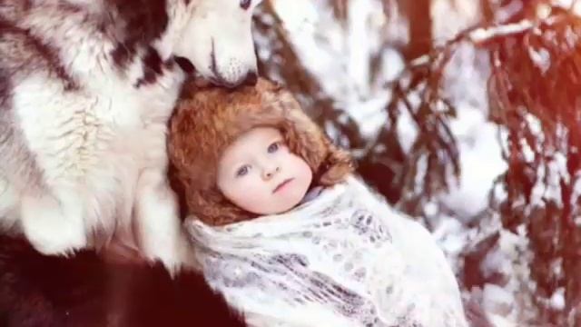 Волк и человек красивый стих)))) смотреть онлайн