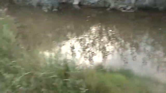 ЧЕЛЛЕНДЖ С ЯЙЦАМИ НОВАЯ ИГРА ЭКСПЕРИМЕНТ.ИГРЫ ДЛЯ ДЕТЕЙ. Challenge with eggs NEW GAME EXPERIMENT смотреть онлайн