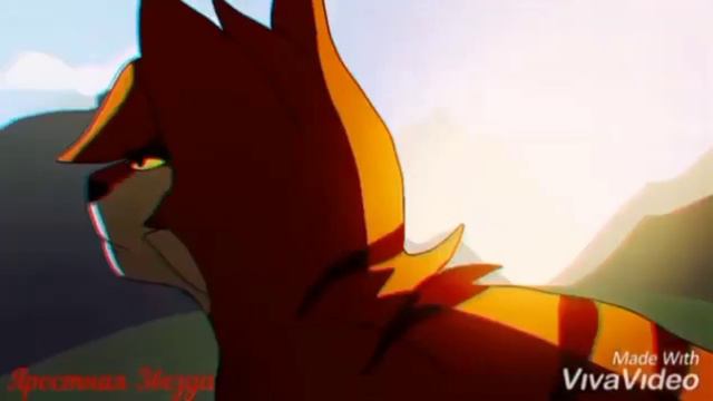 Коты воители Кленовница клип песня {Спящая красавица} ☕. смотреть онлайн