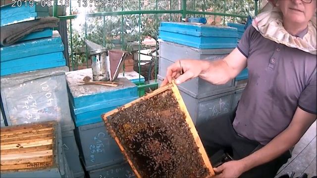 Как и когда сокращать пчел.Когда снимать разделительные решётки. смотреть онлайн