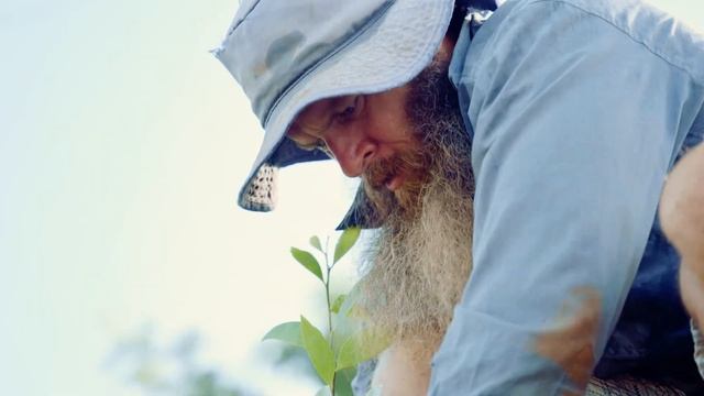Native Tree Sanctuary in Australia | One Tree Planted смотреть онлайн