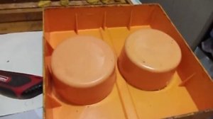 Матки .Вывод маток без переноса личинок .