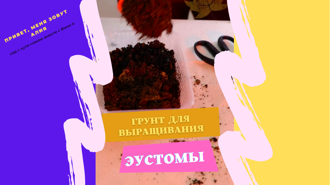 Грунт для выращивания эустомы