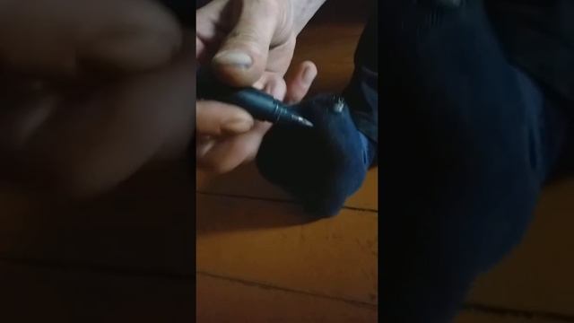 Как заштопать носок без ниток. смотреть онлайн