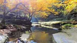 Красота природы Китая с расслабляющей музыкой.