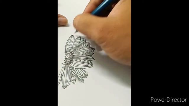 My sketch 8# смотреть онлайн