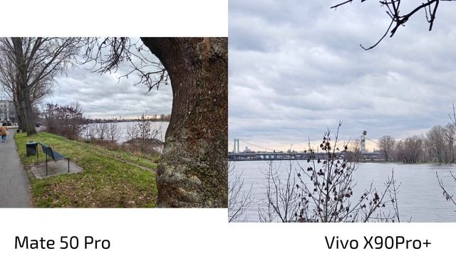 Vivo X90 Pro+ vs Mate 50 Pro - Camera Comparison смотреть онлайн