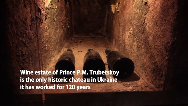 Kherson region. Tourism potential смотреть онлайн