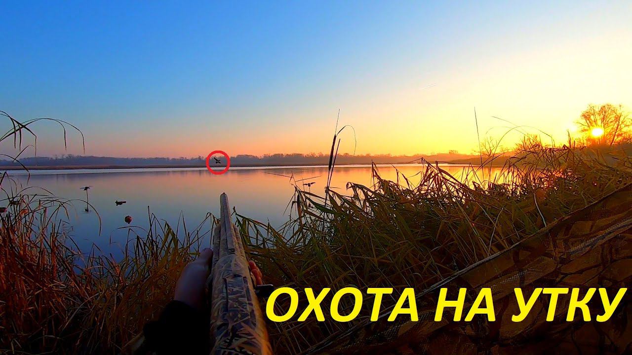 Охота ну утку. Первая охота с сыном 2021. Розыгрыш ножа от "мастерской Самойлова В.М." / MAX HUNTER смотреть онлайн