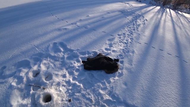 Проверка крючков на налима . Аномальное тепло в декабре! Ищем рыбные места . смотреть онлайн