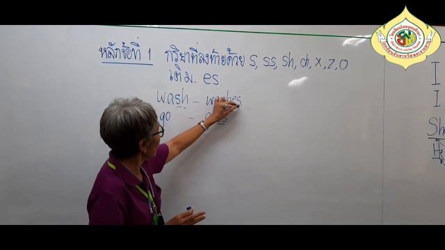 G3 GR vdo 101 Present Simple Tense2 смотреть онлайн