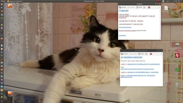 Ubuntu 18.04 вот так красиво пашет! Только пыль стоит. смотреть онлайн