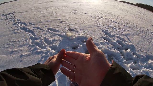 Советская блесна спасла рыбалку!Первая рыбалка 2024!!Окунь прёт! Рыбалка в Финляндии. смотреть онлайн