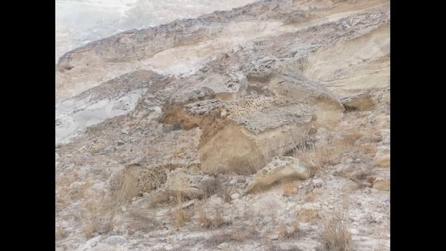 Шакпак ата Ущелье Капамсай смотреть онлайн