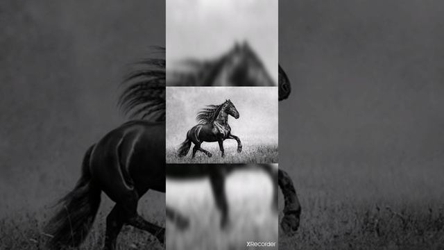 ФОТО ЛОШАДЕЙ И ПАРУ КОРОВ КРАСИВЫХ??? ПОД ПЕСНЮ ПОЛОВИНА МОЯ смотреть онлайн