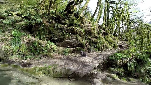 Йога для развития сознания старикашеры