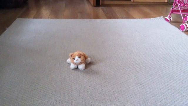 самый популярный котик поет песню монатик смотреть онлайн