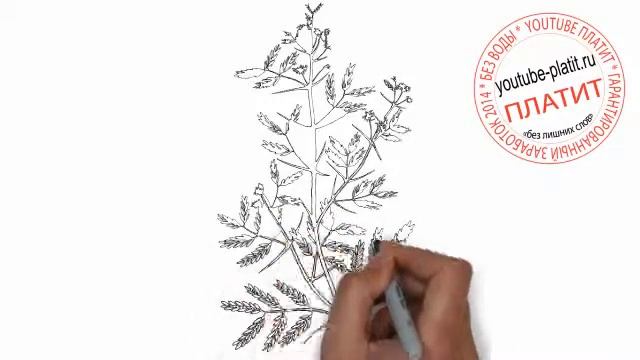 Как нарисовать ветку старой елки смотреть онлайн