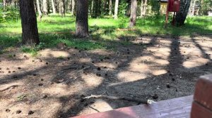 Тренировка на хоббихорсе😎