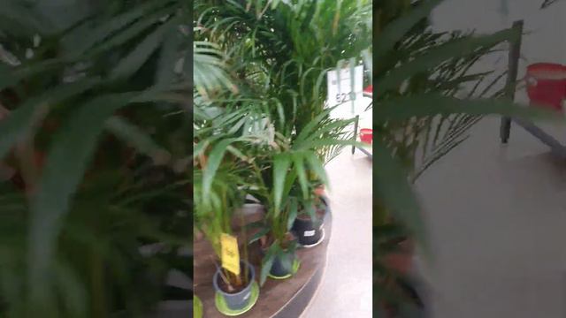 💐💐💐 смотреть онлайн