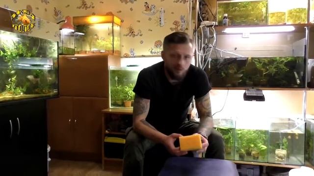 уход за аквариумомуборка и чистка аквариума смотреть онлайн