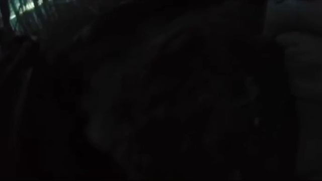 Кадры боя в лесах под Кременной с камеры бразильского наёмника