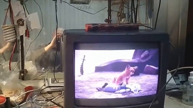 триколор + ночные вооообще бесплатно и без тарелки 1 часть смотреть онлайн