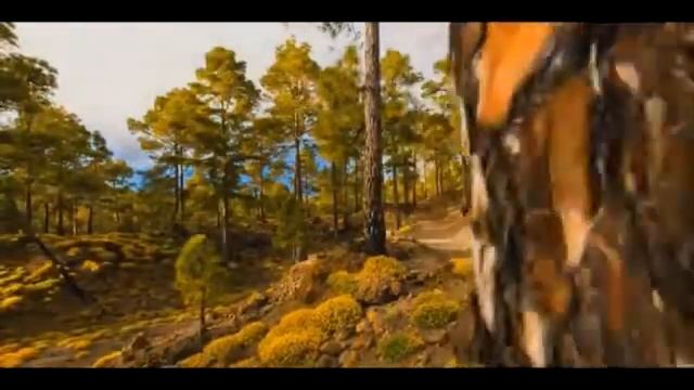 Михаил Лермонтов - Желание . Послушать стихотворение смотреть онлайн