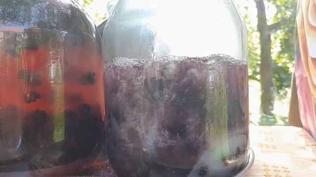 Preparation Of Natural Compote And Jam From Blackberries