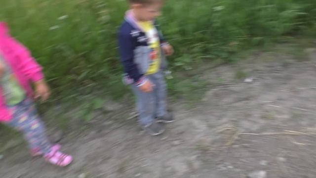 Отношение к детям. Ротвейлер смотреть онлайн