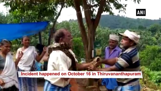 Watch: Man rescued from python by locals in Thiruvananthapuram смотреть онлайн