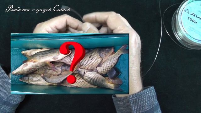 СУПЕР ДОНКА за 2 минуты!? Для тех хочет быстро и без лишних слов