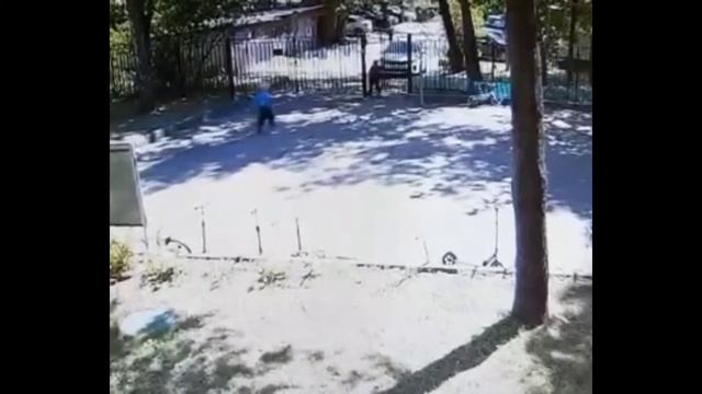 Камера сняла побег малышей из детского сада в Москве смотреть онлайн