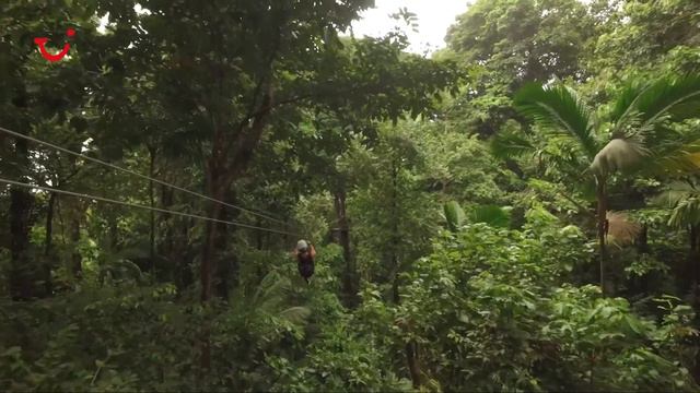 Discover St Lucia | TUI смотреть онлайн