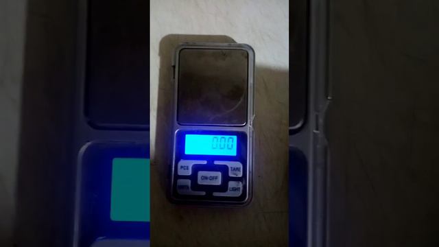 Ежевика Бжезина, саженцы на осень. Ростовская обл смотреть онлайн