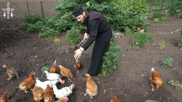 Любовь возвращается любовью.Иеромонах Антоний смотреть онлайн