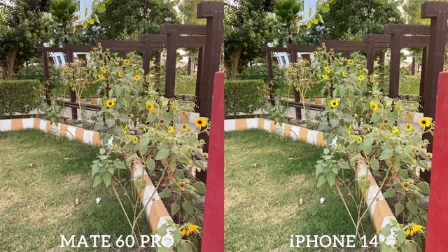 Huawei Mate 60 Pro VS iPhone 14 Camera Test смотреть онлайн
