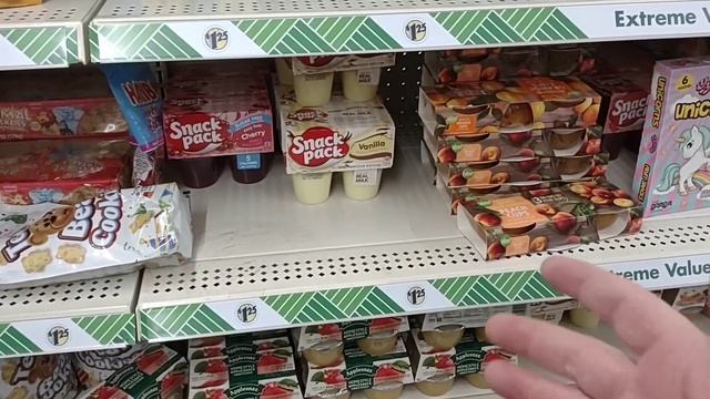 Is Dollar Tree Still Worth It? - BEST Vs WORST Deals! - Daily Vlog!