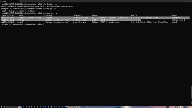 Déployer un serveur minecraft sous docker en 10 min ! смотреть онлайн