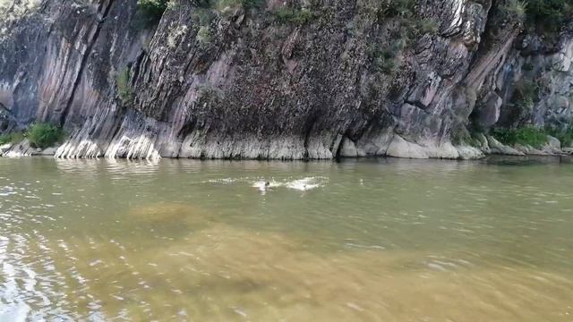 Первое купание в речке смотреть онлайн