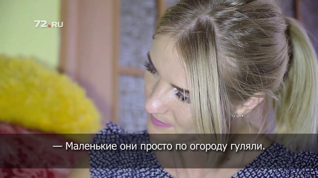 Сколько стоят и что едят африканские сервалы смотреть онлайн