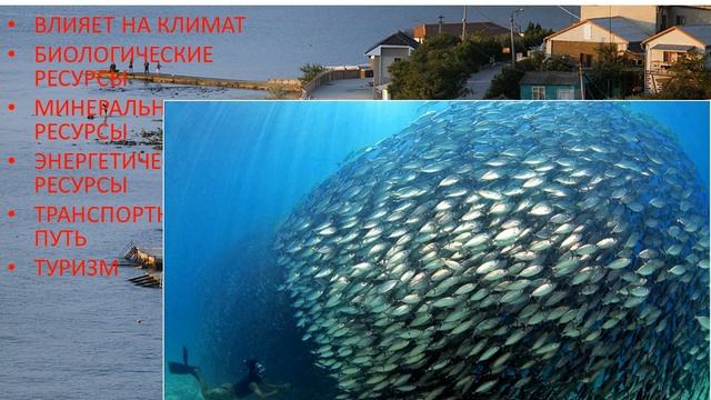 Проблемы Мирового океана смотреть онлайн