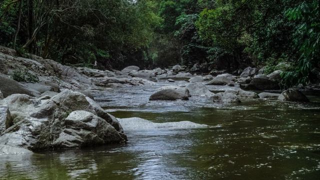 Fugue for violin and harpsichord g-moll BWV 1026 - Johann Sebastian Bach смотреть онлайн