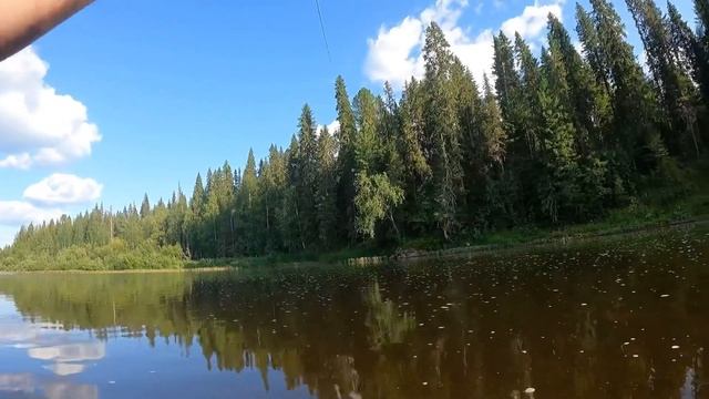 В поисках хариуса, а в итоге в царстве тайменей ??? смотреть онлайн