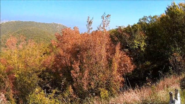 Крым, золотая осень. Горная дорога Судак - Щебетовка, Синорский перевал в октябре смотреть онлайн