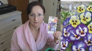 Пикирую низкорослую Эустому. Сею Виолу на рассаду. 14 февраля 2024 год.