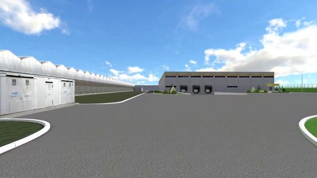 Елецкие овощи схема озеленения участка № 2