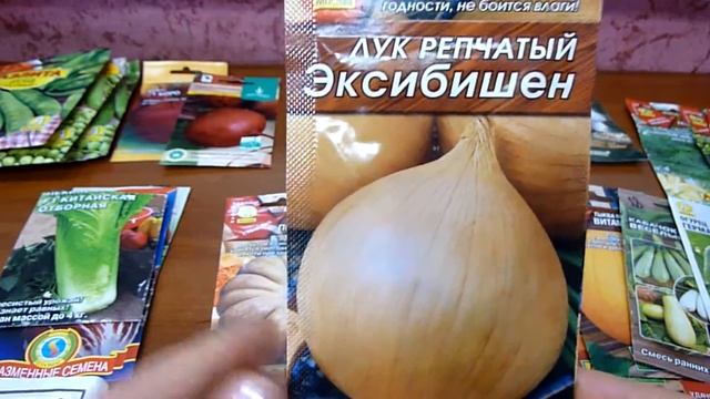 Обзор сортов лука. Рассада чернушки смотреть онлайн