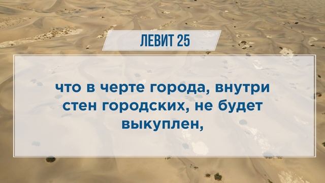 ЛЕВИТ глава 25 | Чтение Библии | Библия в современном переводе смотреть онлайн