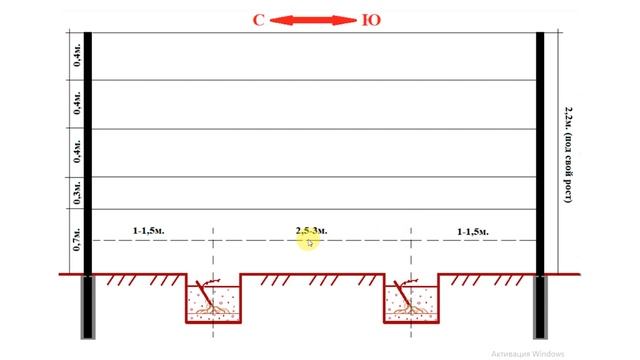 Посадка саженцев винограда смотреть онлайн
